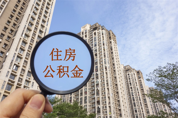 沙河离职可以取出公积金吗（离职可以取公积金嘛）